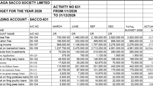 OUR BUDGET FOR THE YEAR 2026